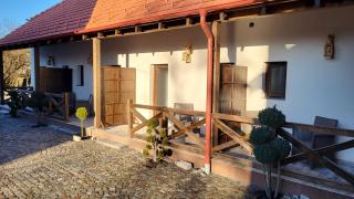 PENSIUNEA CASTELANA - 8