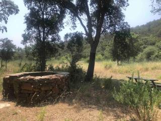 Monte Alentejano ideal para relaxar na natureza - São Teotónio - 6
