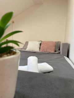 Apartman 22 22 - Sremska Mitrovica - 5