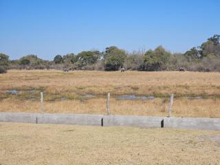 Dagha Boys - Khwai - 2