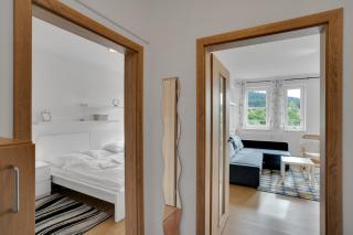 Horský Apartmán Klínovec 4 - Loučná pod Klínovcem - 2