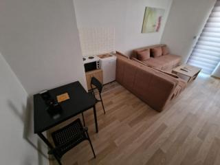 Studio Petrovac - Petrovac na Mlavi - 3