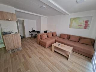 Studio Petrovac - Petrovac na Mlavi - 1