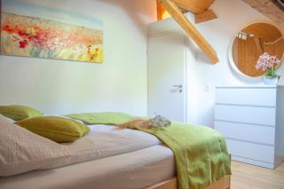 Wellness mitten in der Wasserfallstadt Triberg - Triberg - 5