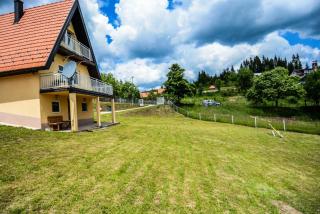 Vila Nina i Lux apartman - Zaovine - 8