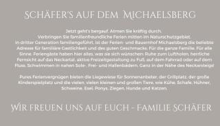 Schäfer's Ferienhof Michaelsberg - Gundelsheim - 5