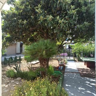 Apartment Corto - Petrcane - 8