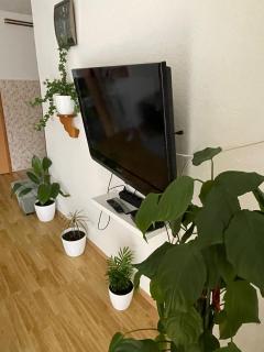 Apartman- Sarajevo - Sarajevo - 5
