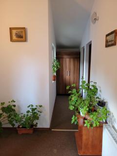 Vila Aosta 21 - Sinaia - 5