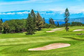 Waikoloa Fairways #A310: Top Floor,Breathtaking Lake, Golf Course&Ocean Views - Waikoloa - 9