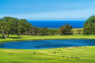 Waikoloa Fairways #A310: Top Floor,Breathtaking Lake, Golf Course&Ocean Views - Waikoloa - 5