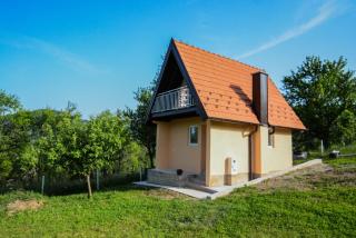 Vila Nina i Lux apartman - Zaovine - 6