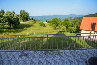 Vila Nina i Lux apartman - Zaovine - 3