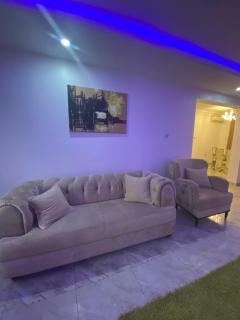 Labi’s place. 1,2 bedrooms apartments beautifully furnished in a secured estate at Adeniyi Jones Ikeja. 24 hrs light, secured apartment,WiFi, fully fitted kitchen, Close to everywhere, Airport pick up ( optional) - Ikeja - 0