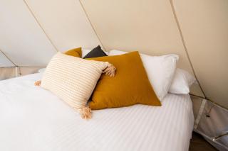 Pure Glamping Guilderton - Guilderton - 8