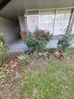 Econolodge - Andalusia - 2