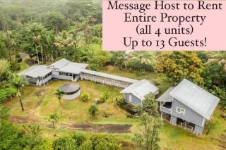 Monstera Bungalow, Spacious, King Bed, Big Kitchen - Keaau - 9