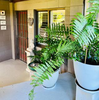 Greenfields - Fernmount - 2
