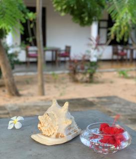 The Danish Villa Resort - Arugam Bay - 6