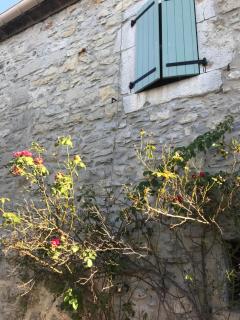 Le MAS du Paradis Bleu - Saint-André-de-Cruzières - 4