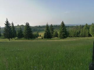 Planinska kuća Jabuka - Prijepolje - 7