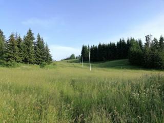 Planinska kuća Jabuka - 8
