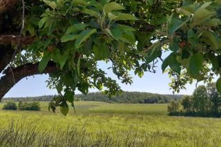 AuszeitOase am sächs. Jakobsweg - Naundorf - 2
