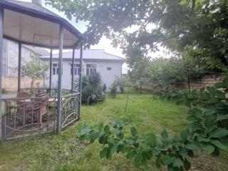 Rahat məkan - Gabala - 0