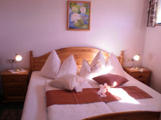 Pension Leyrer - Kötschach-Mauthen - 8