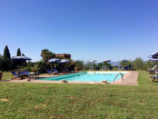 Agriturismo La Palazzina - Palaia - 2