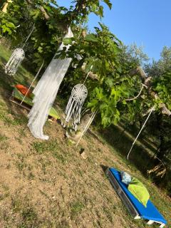 La massaria di Cesare - Pianella - 5