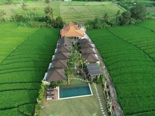 Villa Alisha - Canggu - 0
