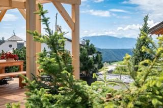 Mountain Caravan - Zirben Nestl - Nova Ponente - 3