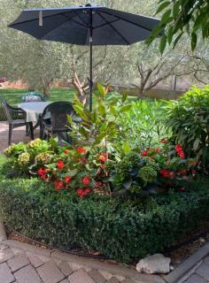 Apartman Ika - Biograd na Moru - 1