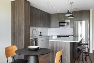 Pentagon City 1br w gym doorman n metro WDC-697 - 5