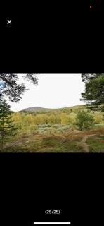 Bjorli Apartment with everything, 150m from ski lift - 4