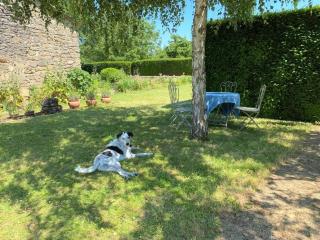 Évasion Romantique au Prieuré avec Jardin en Anjou, Petit-Déjeuner Inclus - FR-1-622-63 - Méa - 9