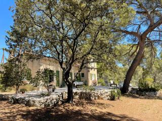 Mas du Grand Pin - Villa sur grande pinède, Site naturel exceptionnel, Calanque du Port d'Alon à 2pas - Saint-Cyr-sur-Mer - 8
