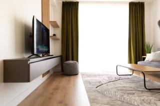 Nest Inn Emerald Apartment - Baia Mare - 8