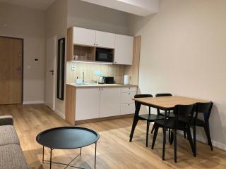 Apartament Laguna Beskidów 49 z sauną i siłownią - Dream Apart - Zarzecze - 9