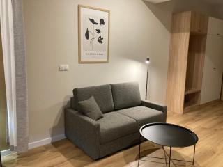 Apartament Laguna Beskidów 49 z sauną i siłownią - Dream Apart - Zarzecze - 4