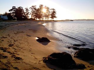 Sol, mar y naturaleza - Pontevedra - 1