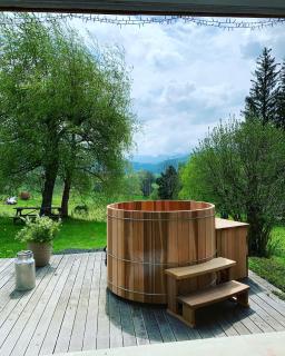 Maison d'hôtes Agathe et Sophie - Lans-en-Vercors - 0