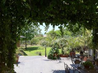 Mamma Etna - Pedara - 2