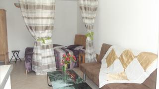 Gros di Thin Studio - Sainte-Luce - 4