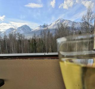 Apartmán s nádherným výhľadom na Tatry - Veľký Slavkov - 9