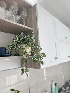 Classic Modern Apartment with Parking Place - Sofia - 2