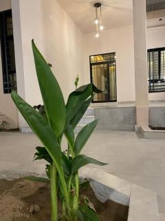 أعناب الفندقية - Baljurashi - 3