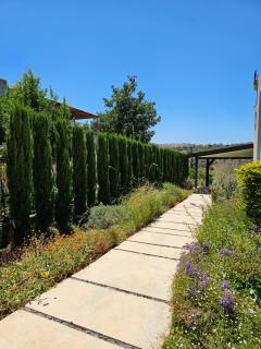 Reimond's place - Nahal Hilazon נחל חילזון - Karmi’el - 7