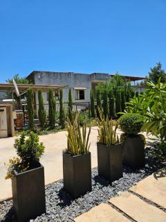 Reimond's place - Nahal Hilazon נחל חילזון - Karmi’el - 9